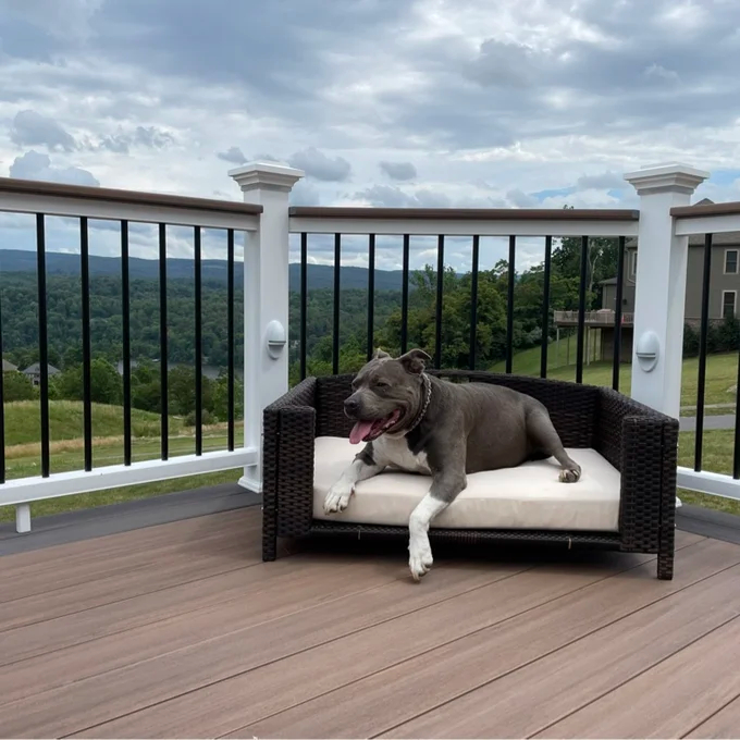 Cristobal Rattan Rectangular Dog Sofa