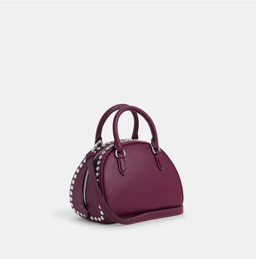 COAthtCH Classic handbags