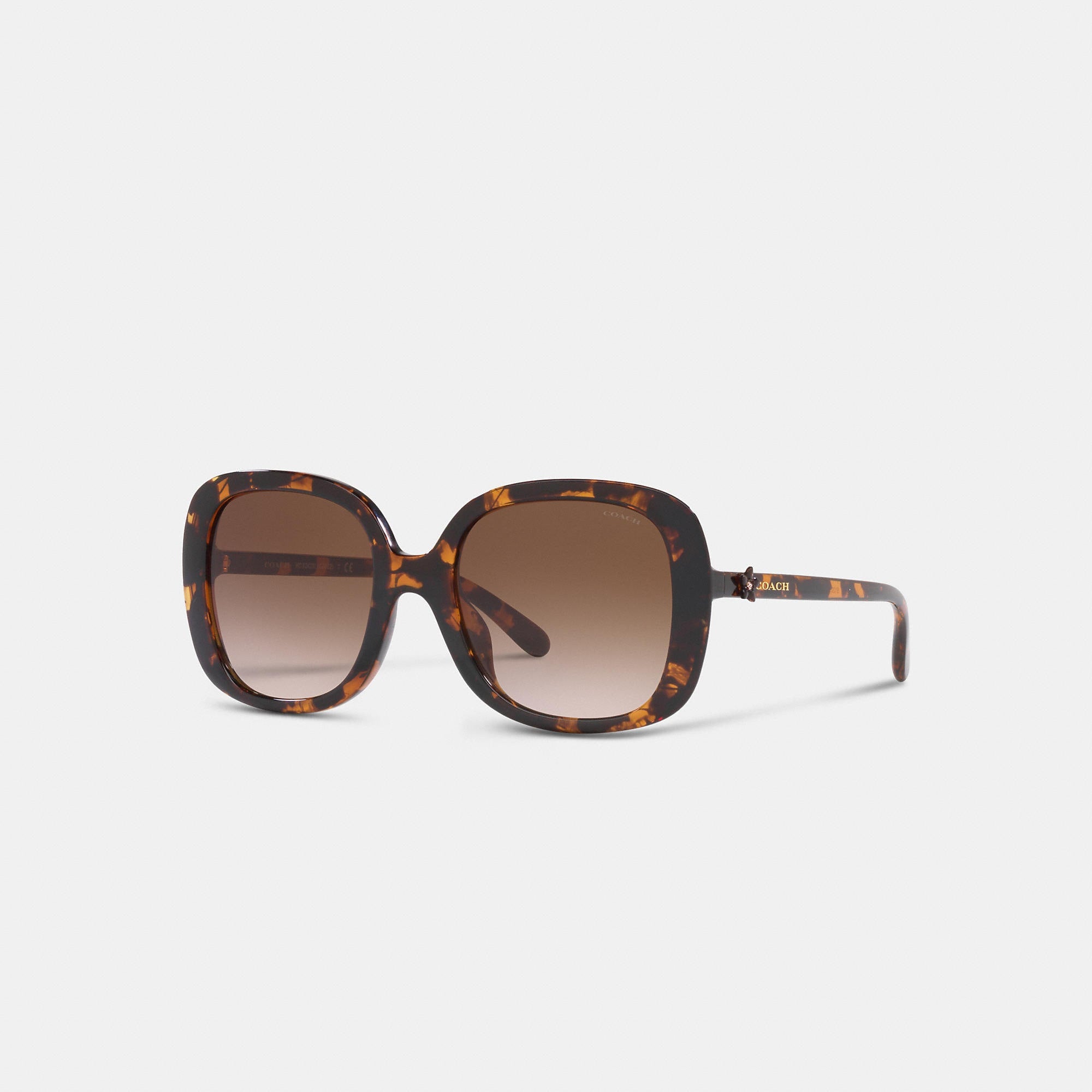 COAthtCH Fashion Sunglasses