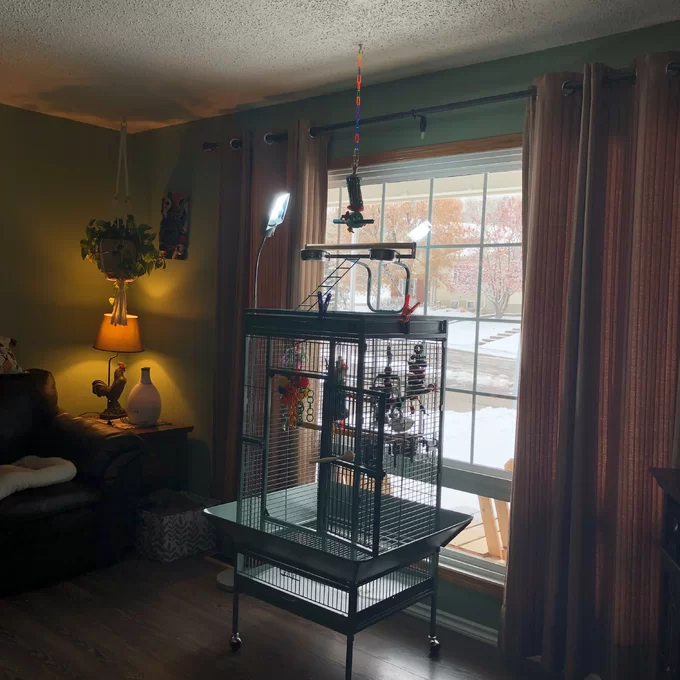 Bremer Steel Play Top Floor Bird Cage with Wheels