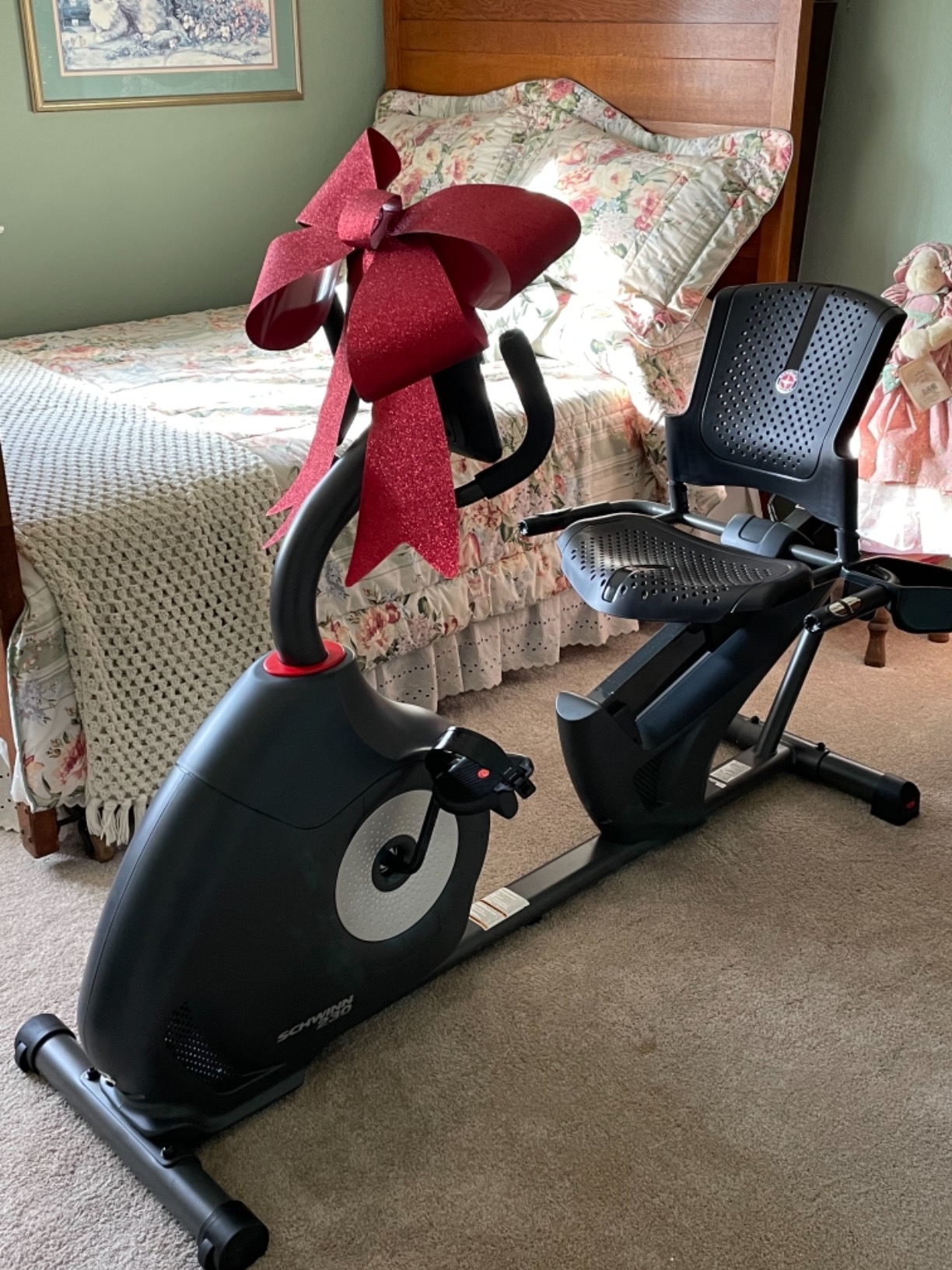 Schwinn Recumbent Bike Series