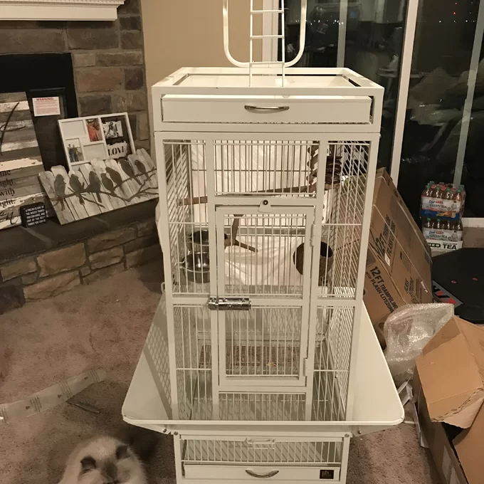 Bremer Steel Play Top Floor Bird Cage with Wheels
