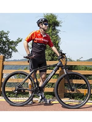 ebike