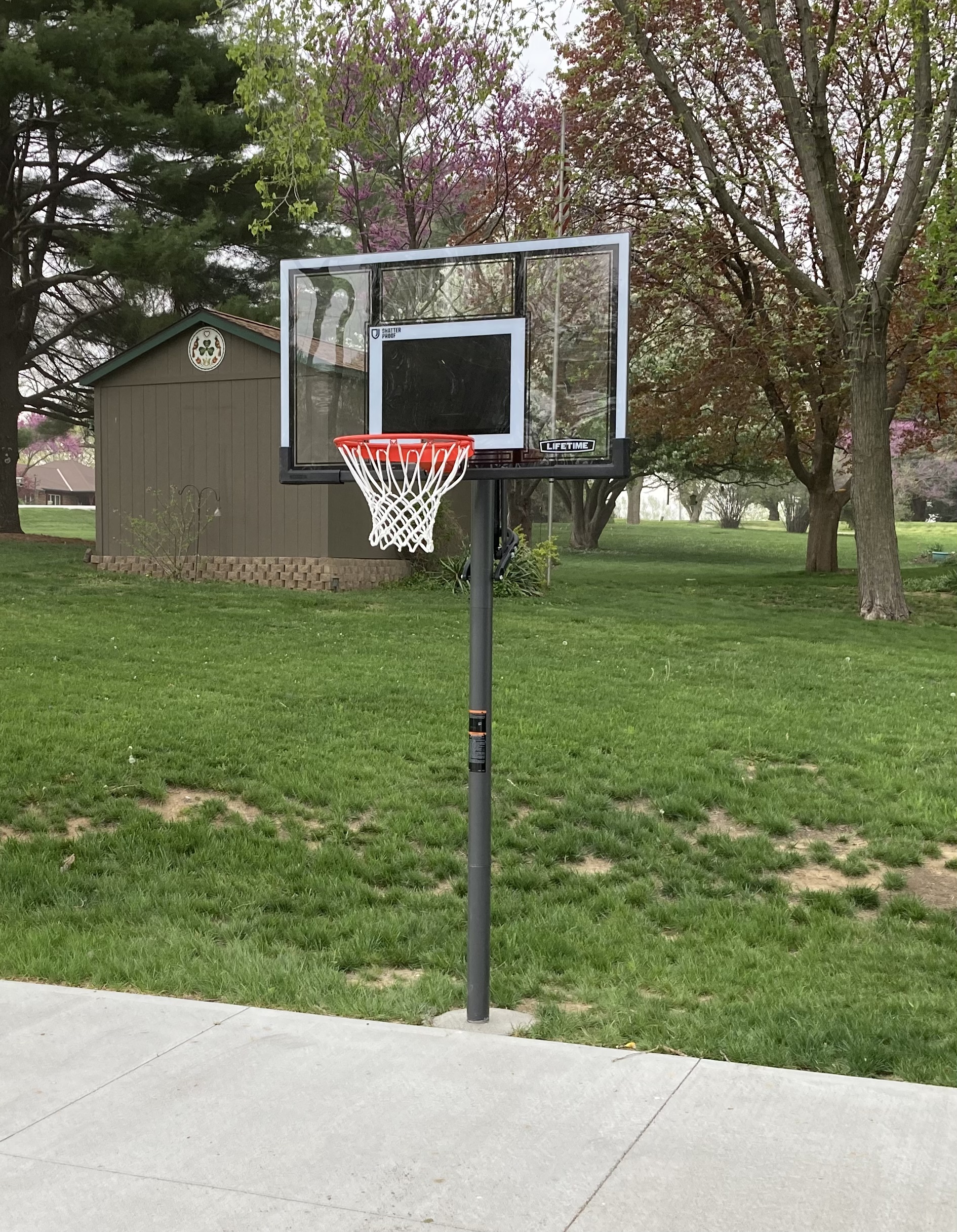 Lifetime Adjustable Basketball Hoop