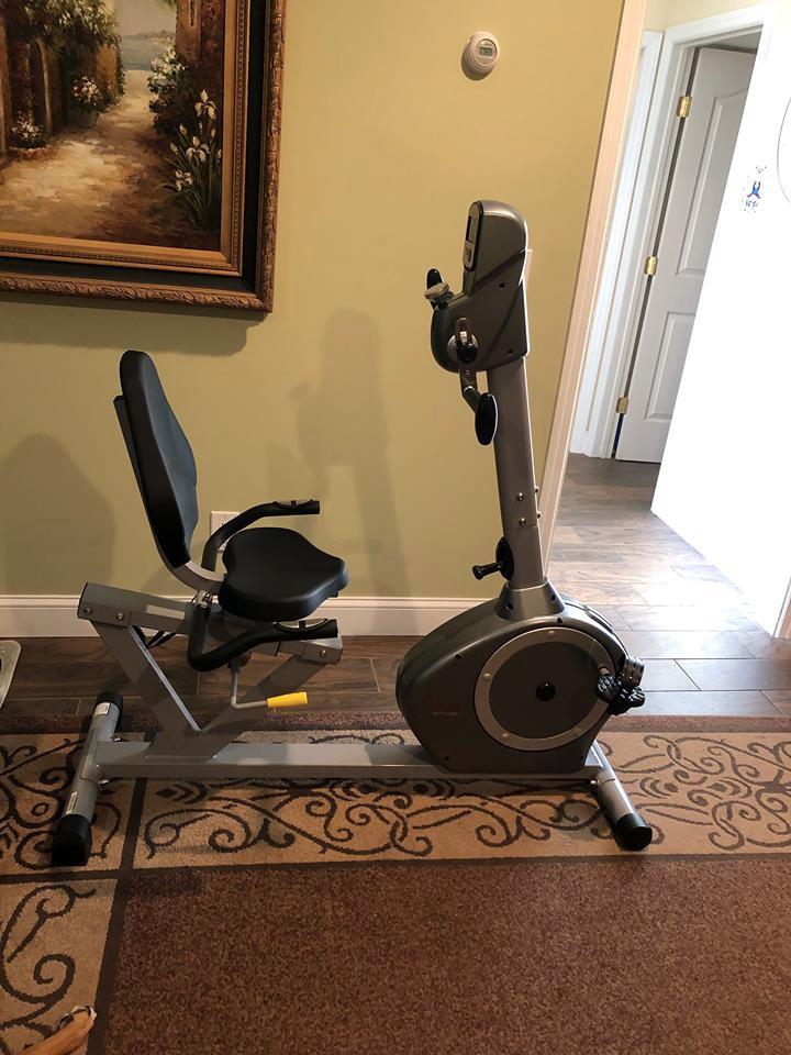 Sunny Health & Fitness Recumbent Bike SF-RB4631 with Arm