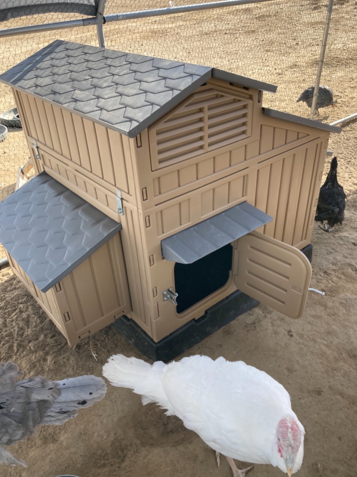 Large Chicken Coop Backyard Hen House 4-6 Large 6-12 Bantams
