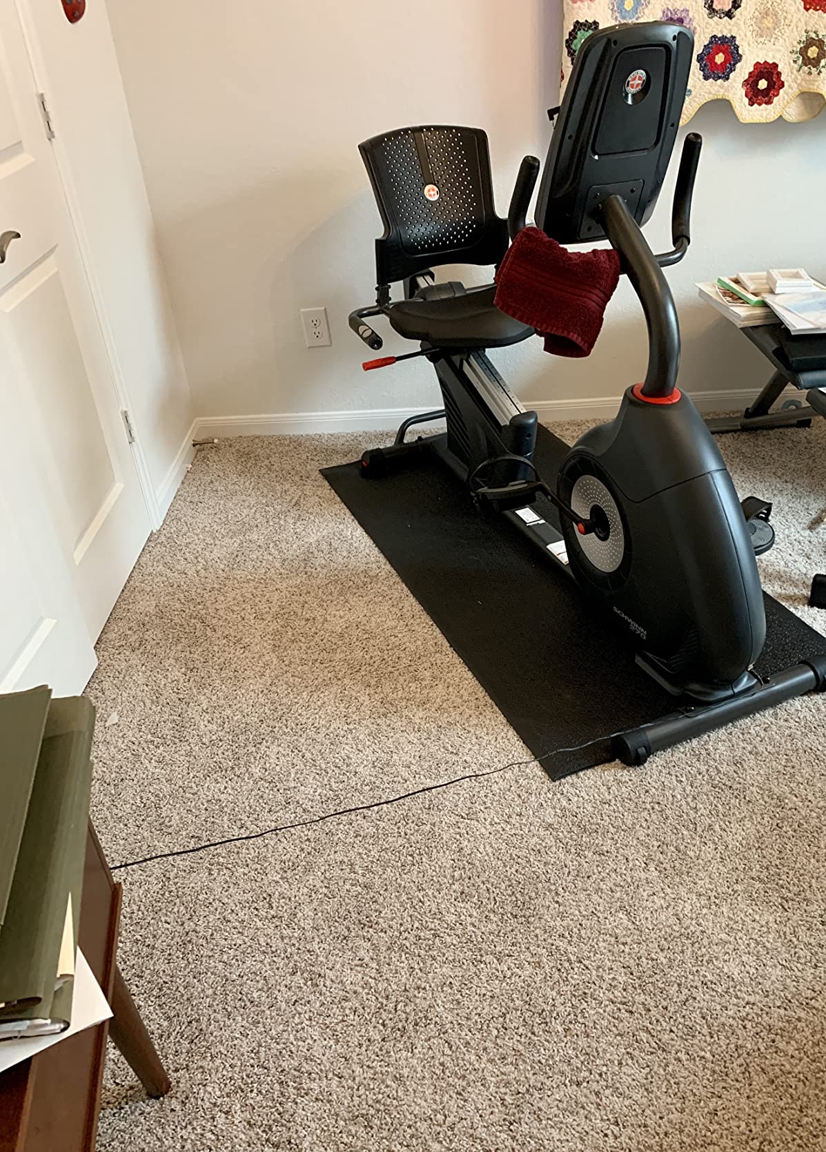 Schwinn Recumbent Bike Series