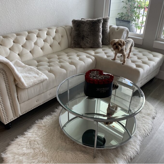 Lora 2 - Piece Upholstered Chaise Sectional