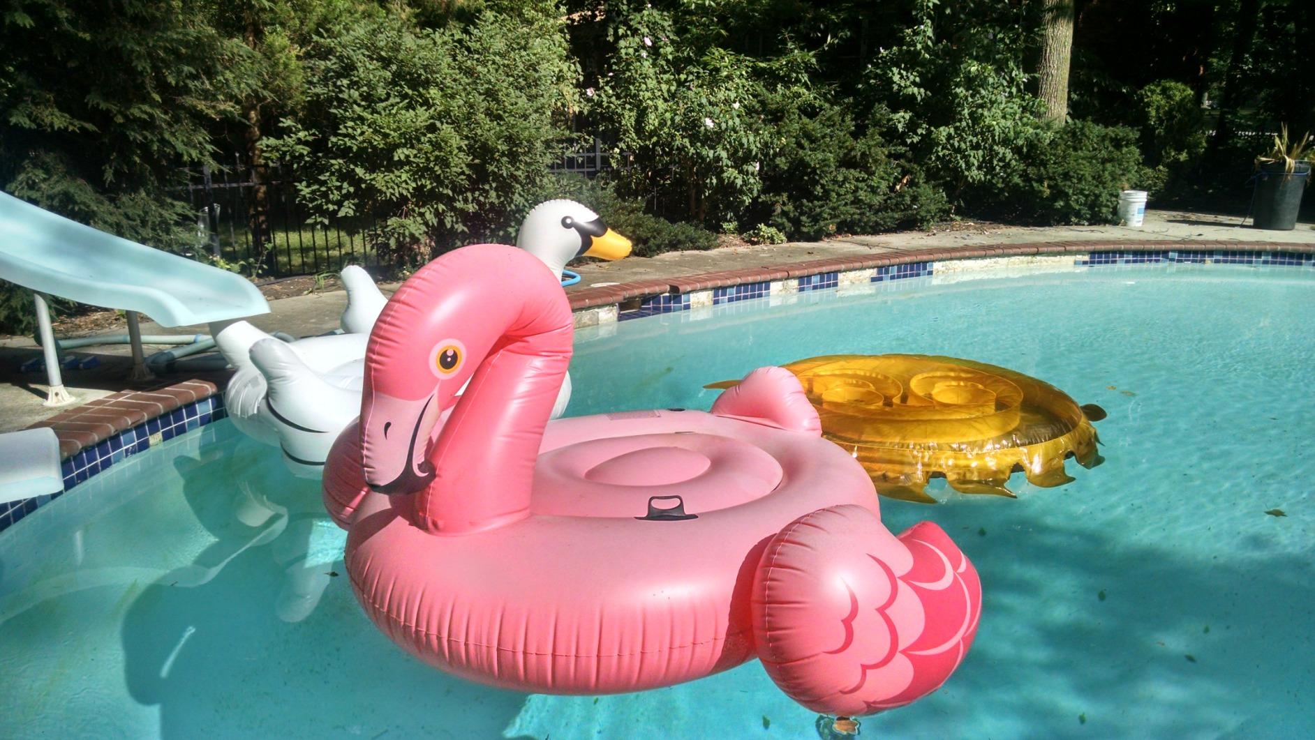 Flamingo Party Island