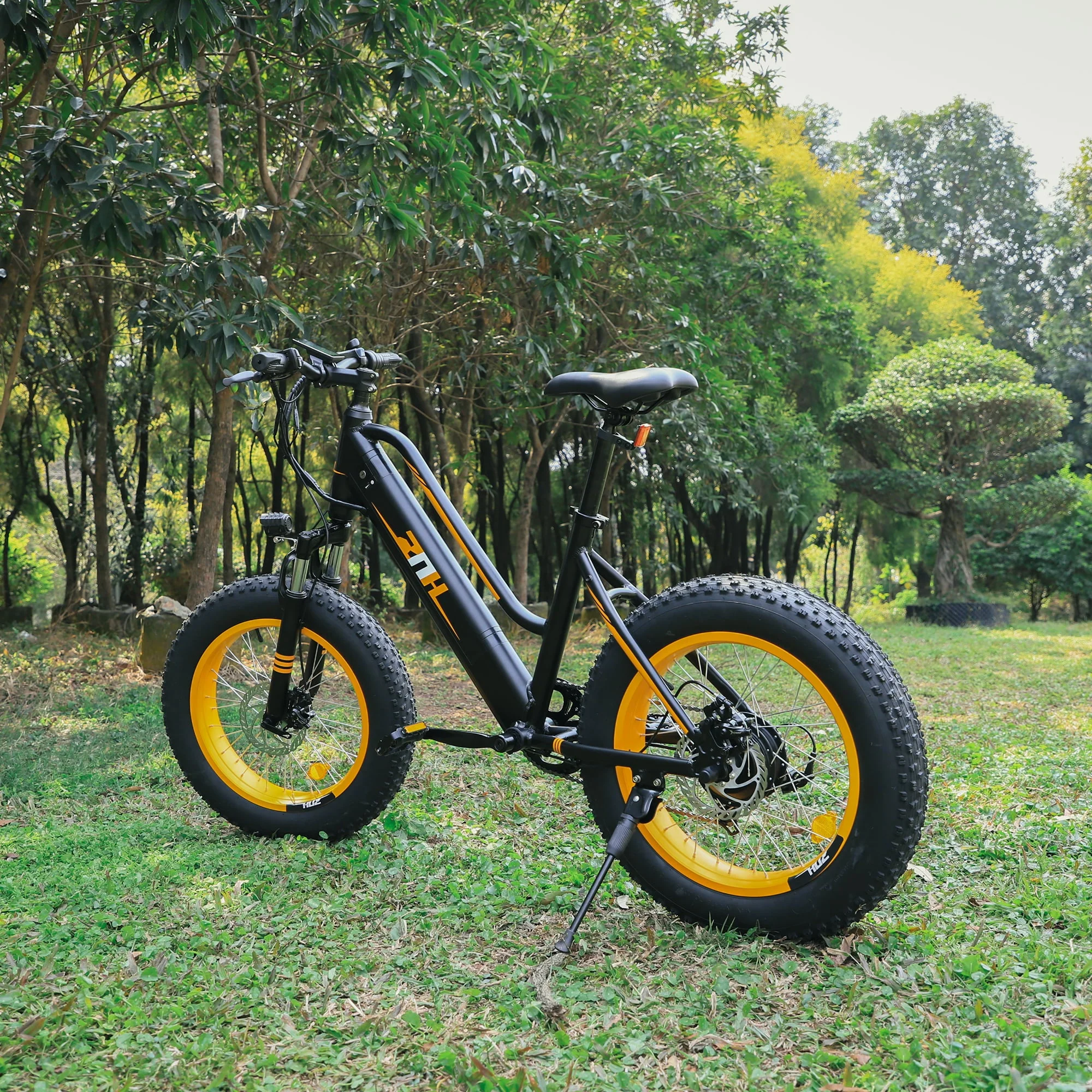 ZNH 20in Fat Tire Electric Bike, 350W, 36V 10Ah