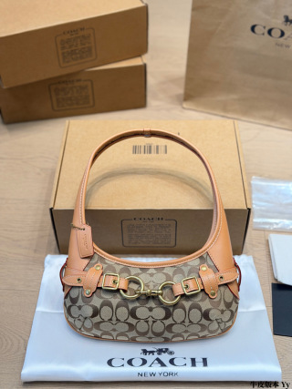 COACH HAMPTONS HOBO BAG