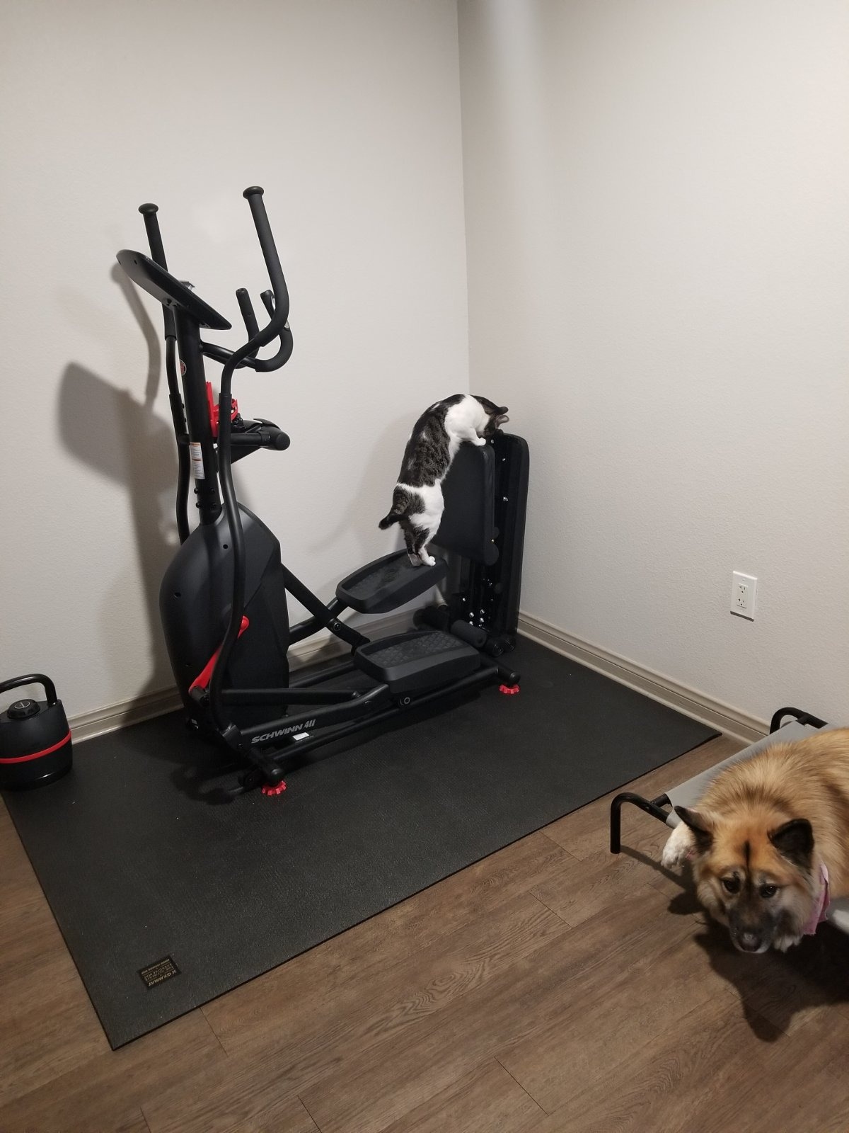 SCHWINN Fitness 411 Compact Elliptical Machine
