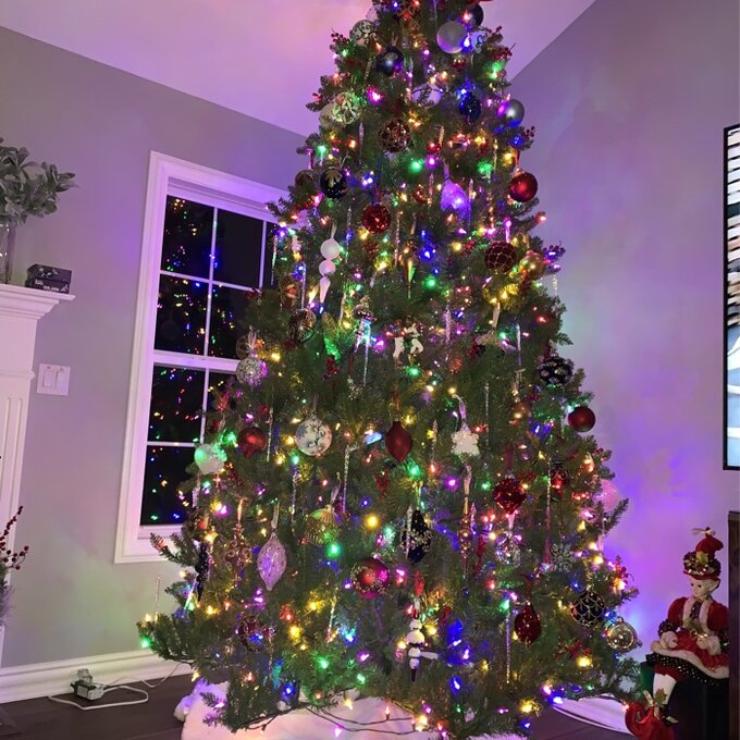Dunhill Fir 120'' Lighted Artificial Fir Christmas Tree