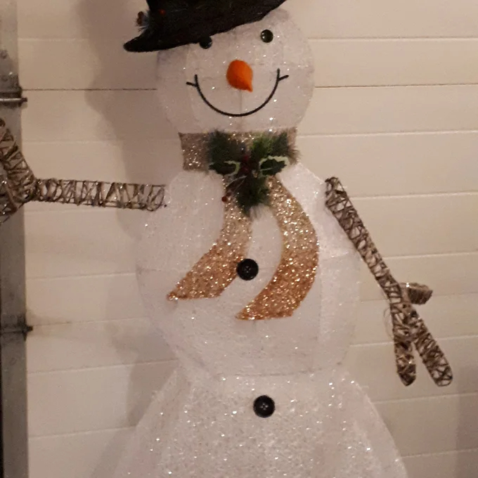 Snowman Lighted Display