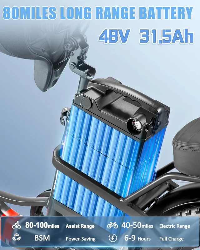 20in Fat Tire Electric Bike, 800W, 48V 32Ah, Two Seats