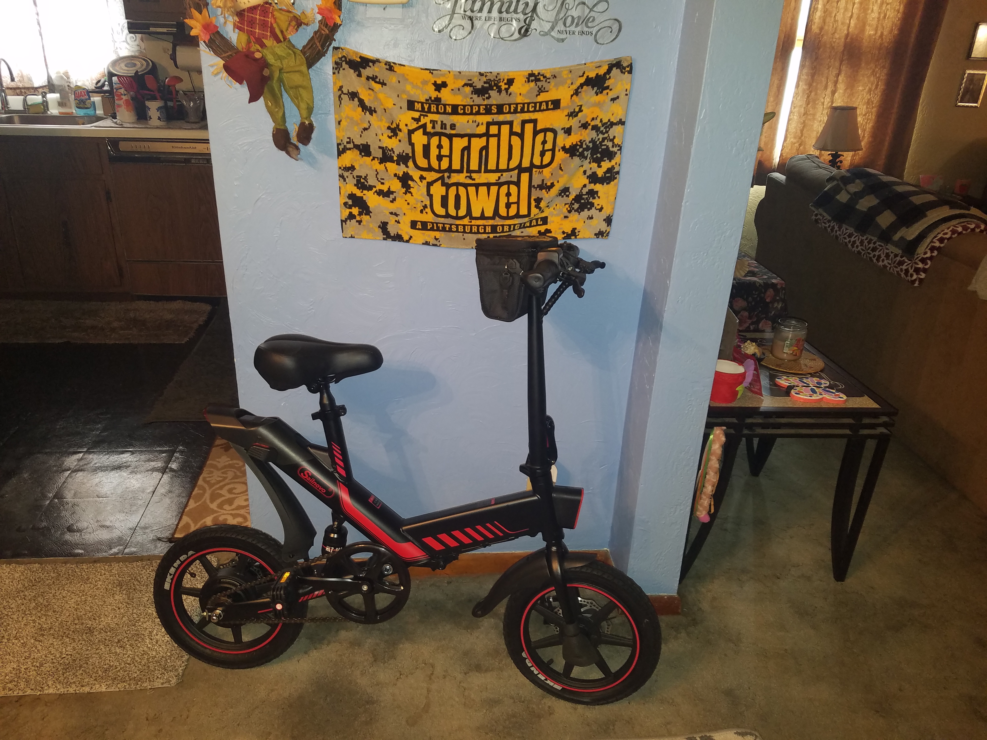 Electric Bicycle