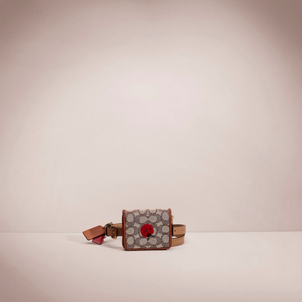 COAthtCH Classic handbags