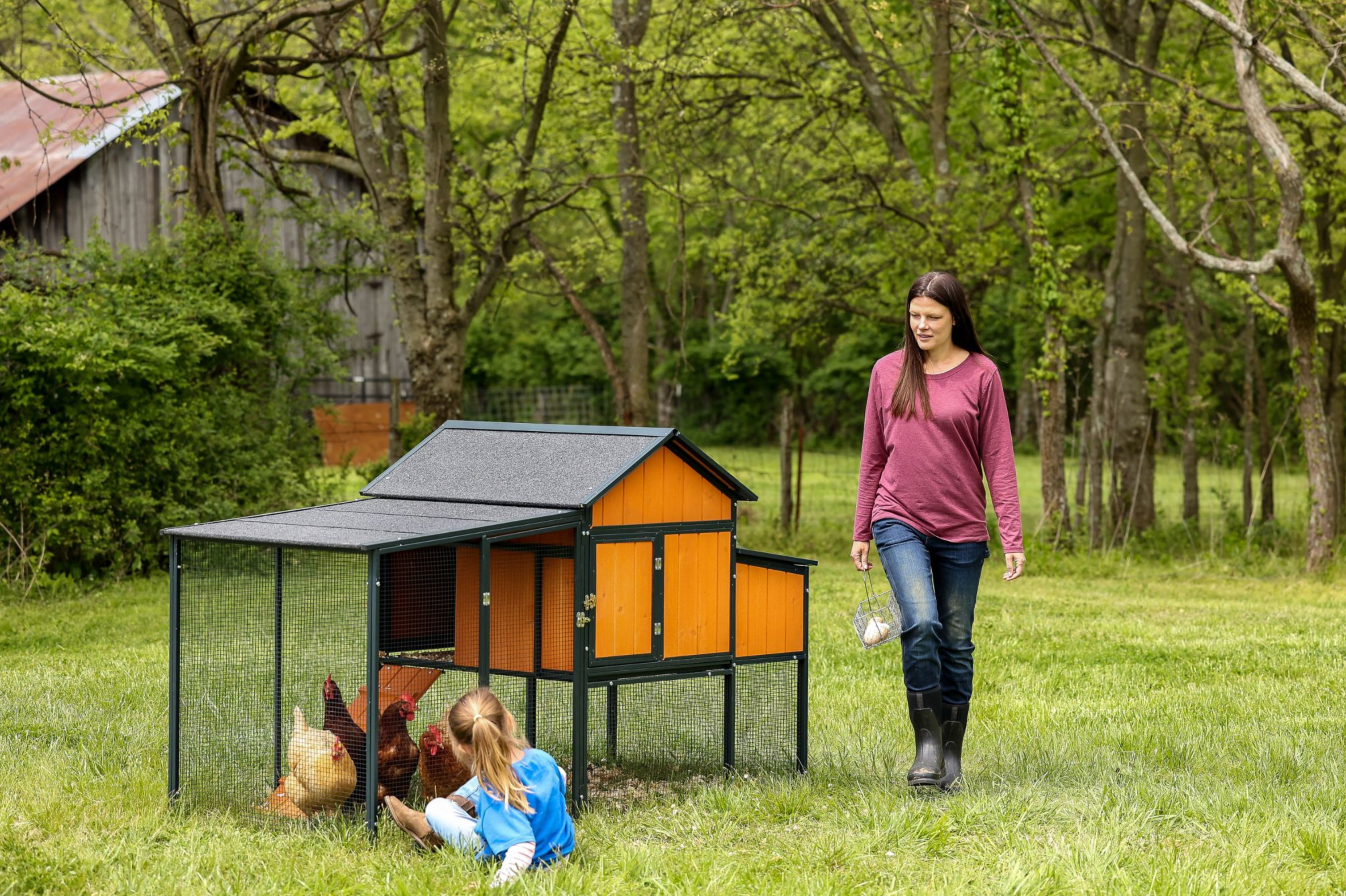 Walk-in windproof chicken coop