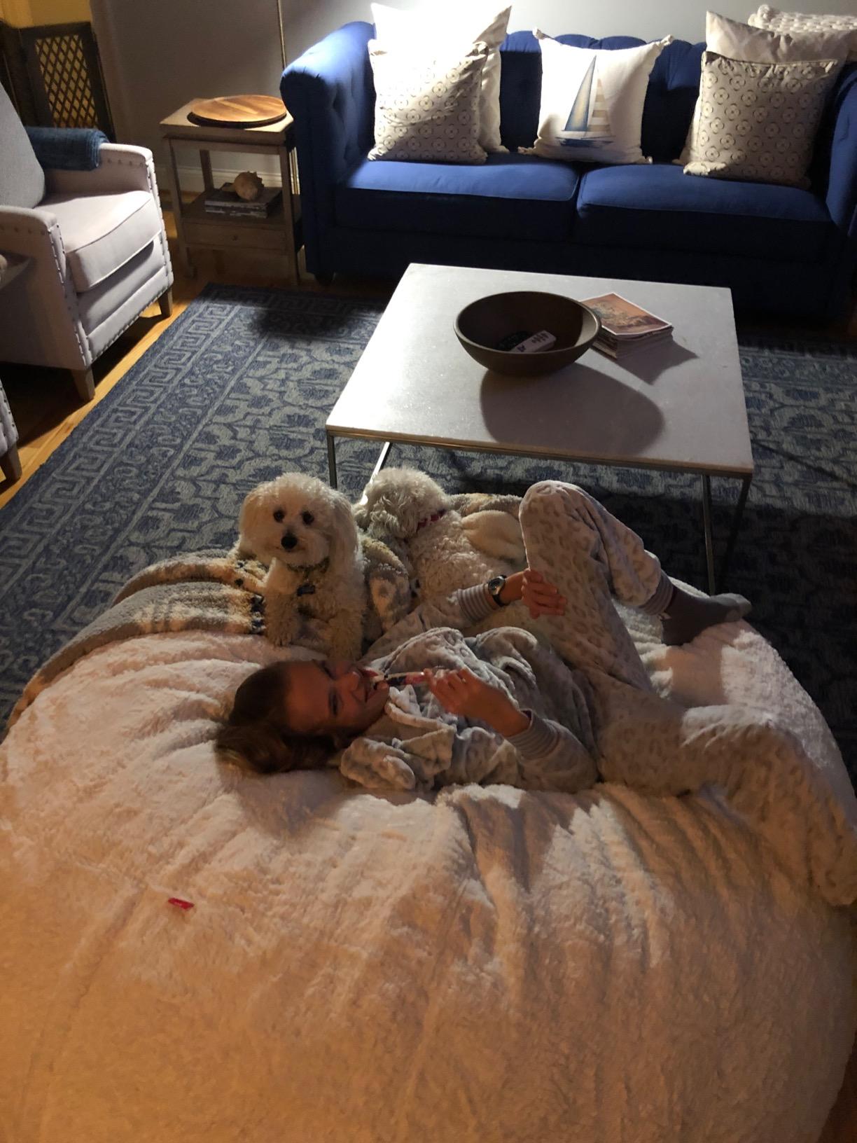 Faux Fur Bean Bag Chair