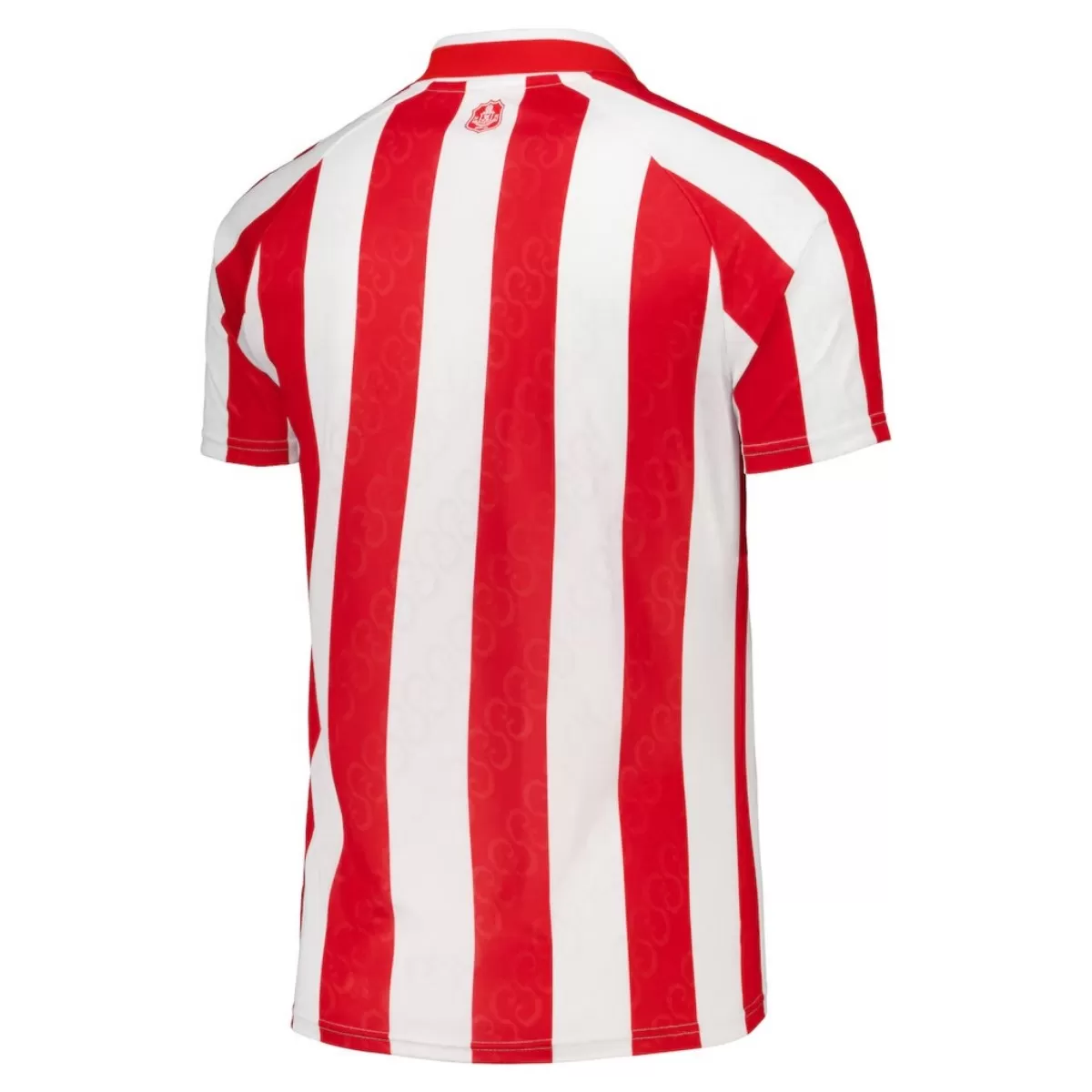 Sunderland Home Jersey Fan Version 26/27