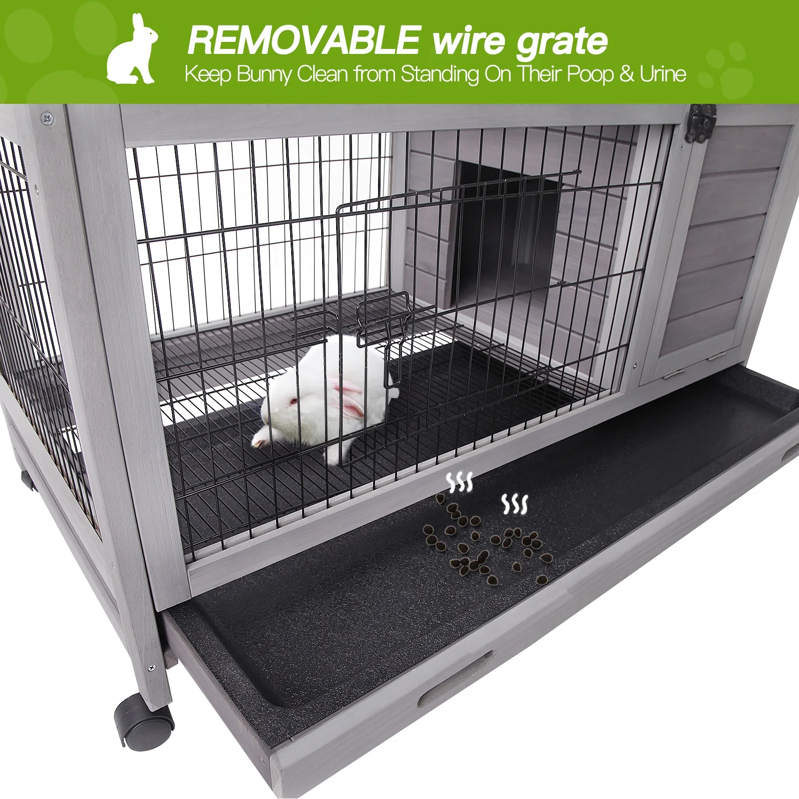 Robinette Small Animal