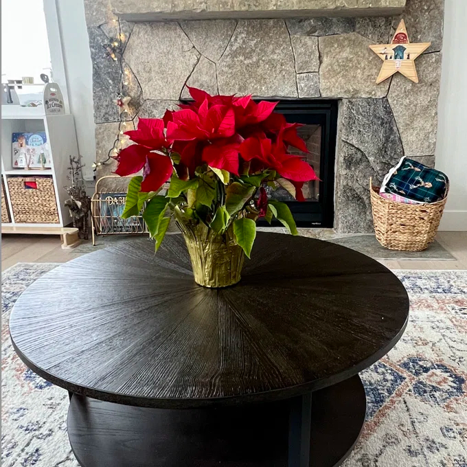 Frame Coffee Table with Storage