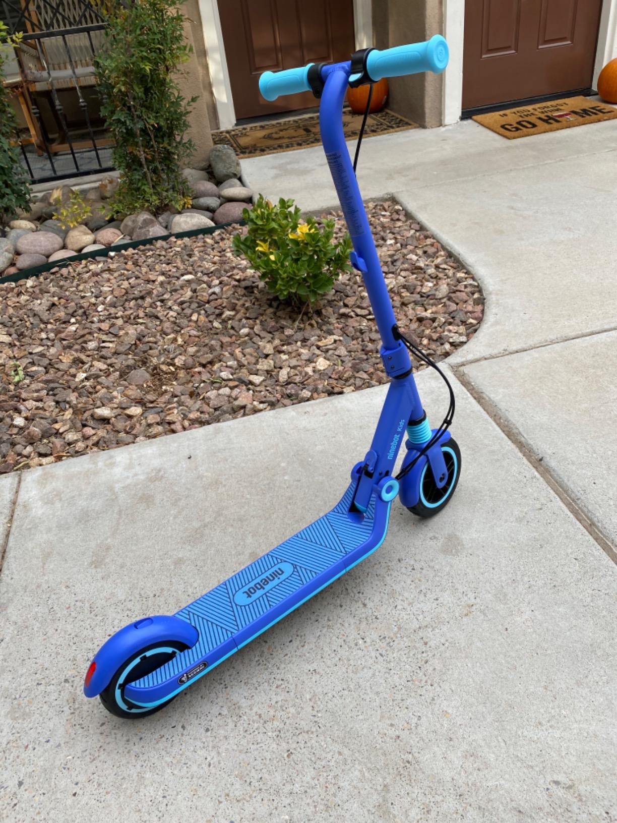 Segway Ninebot Electric Kick Scooter for Kids
