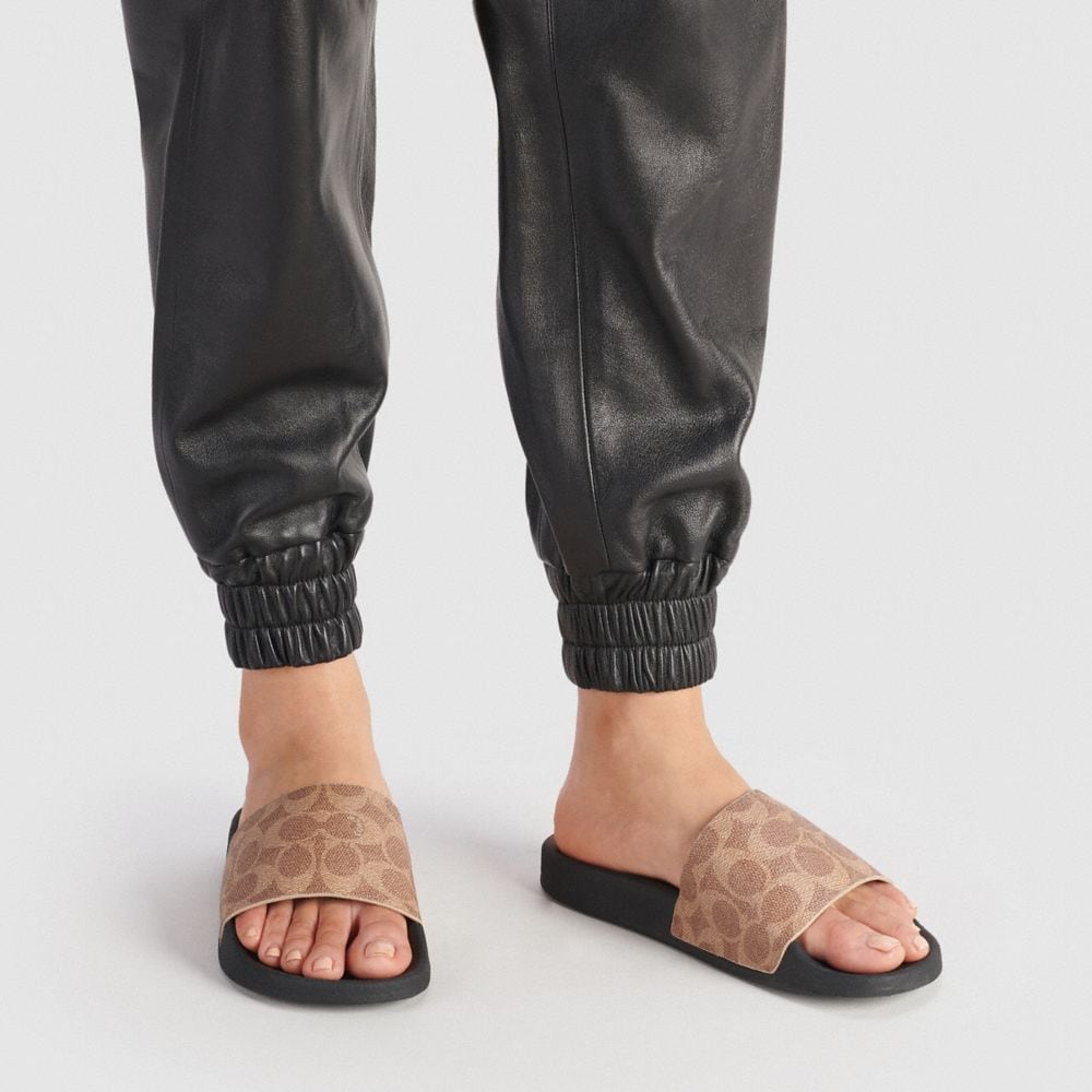 COAthtCH Fashion Shoes