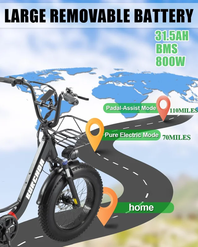 20in Fat Tire Electric Bike, 800W, 48V 32Ah, Two Seats