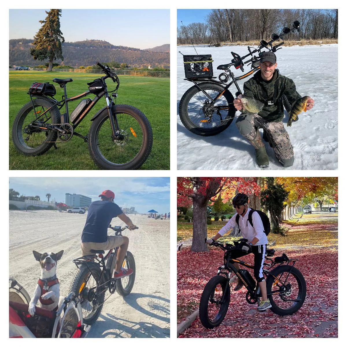 Aostirmotor 26in Fat Tire Electric Mountain Bike, 750W, Black