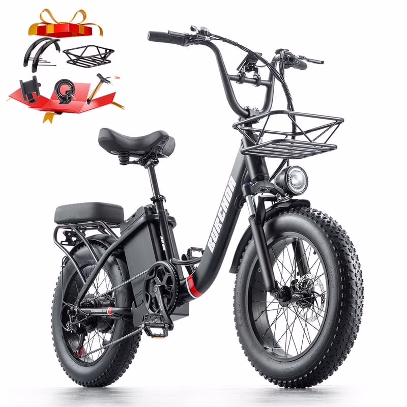20in Fat Tire Electric Bike, 800W, 48V 32Ah, Two Seats