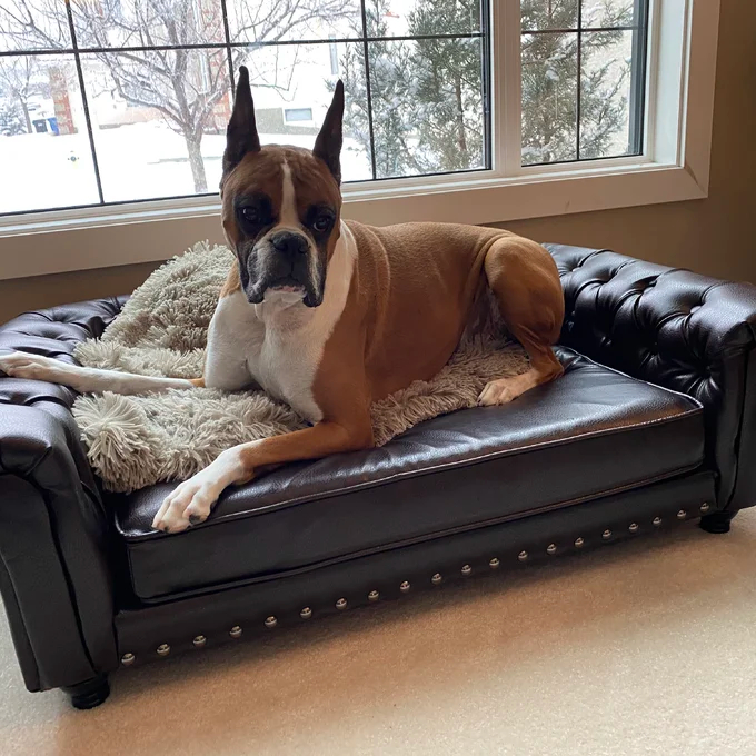 Larock Dog Sofa