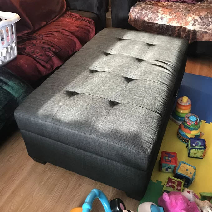 Lacour Upholstered Storage Ottoman