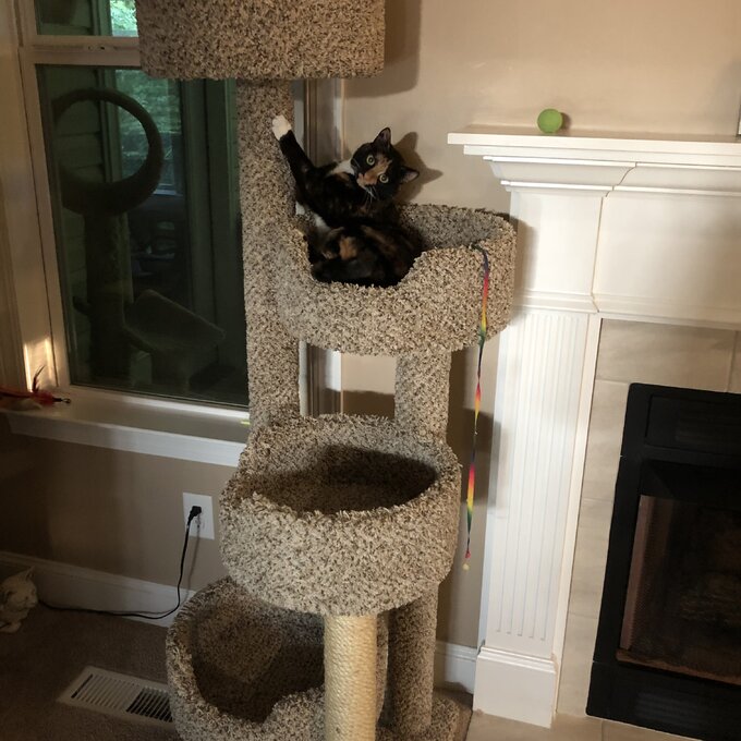 64" New Stairway Cat Condo