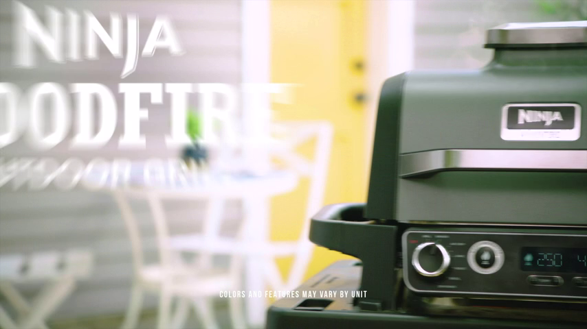 Ninja OG701 Woodfire Grill