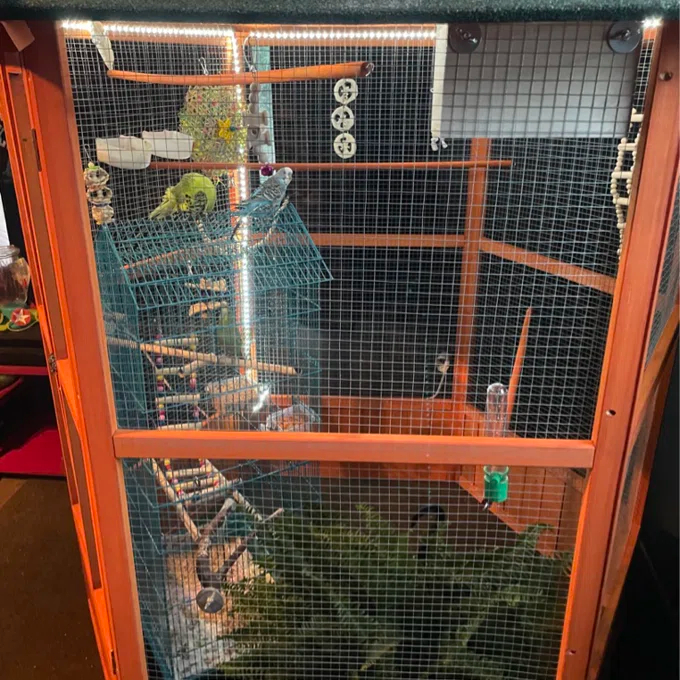 Fielding 65'' Pointed Top Flight Cage with Perch