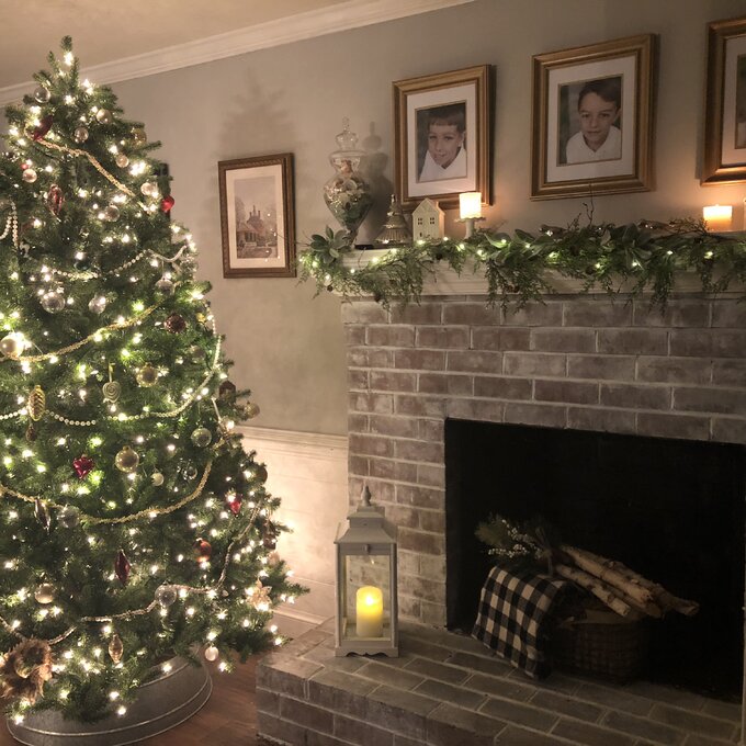 Newberry Spruce 90'' Lighted Artificial Spruce Christmas Tree