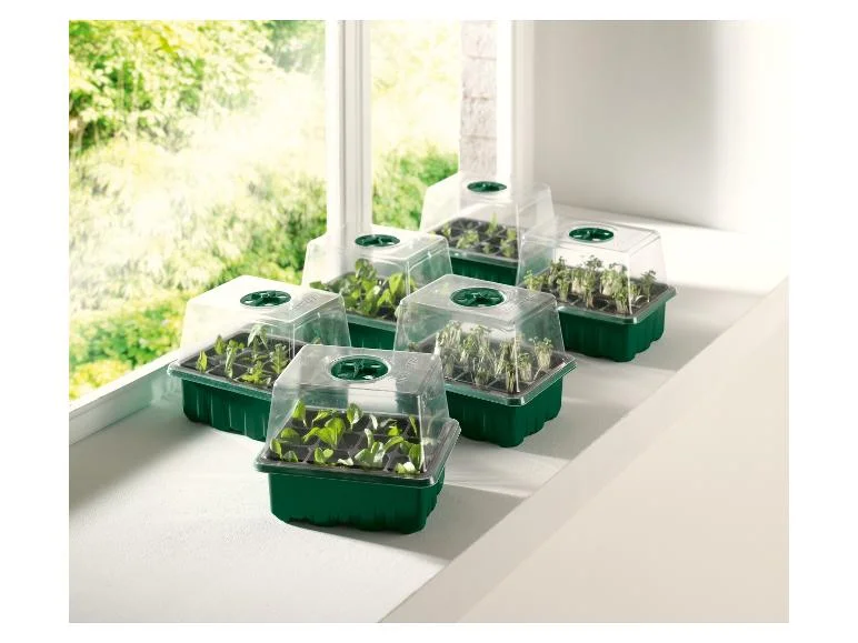 Mini-serres ou mini-serres à LED