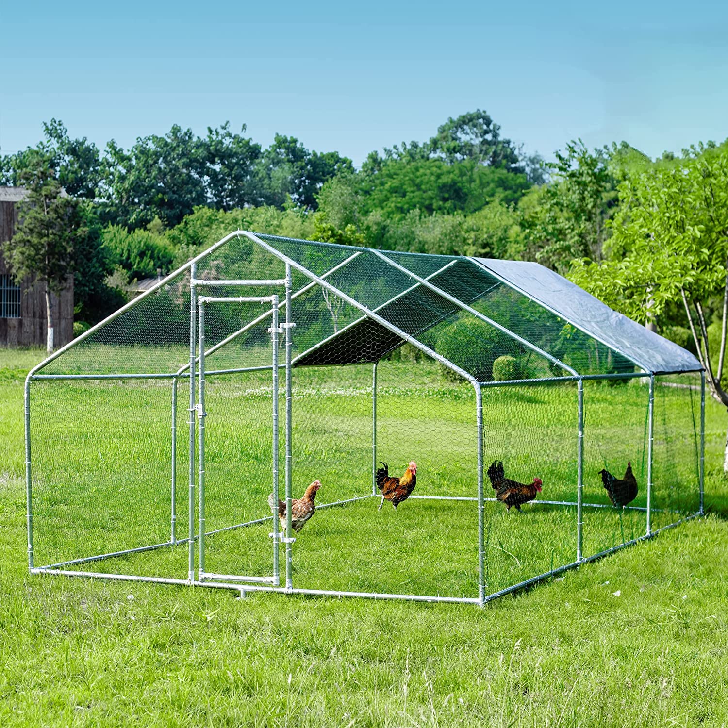 Large Metal Chicken Coops for 10 Chickens for Protection &