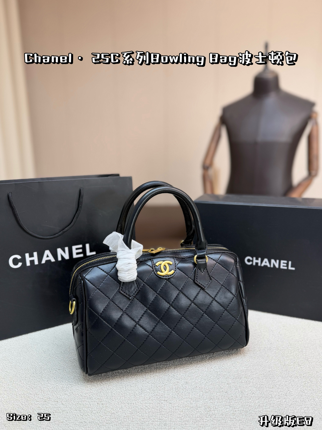 Chanel 25C Bag Leather