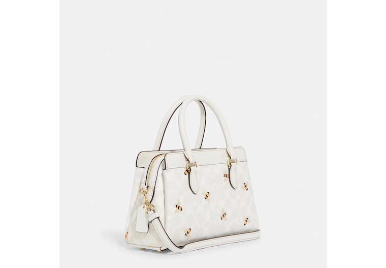 COACH Classic handbags