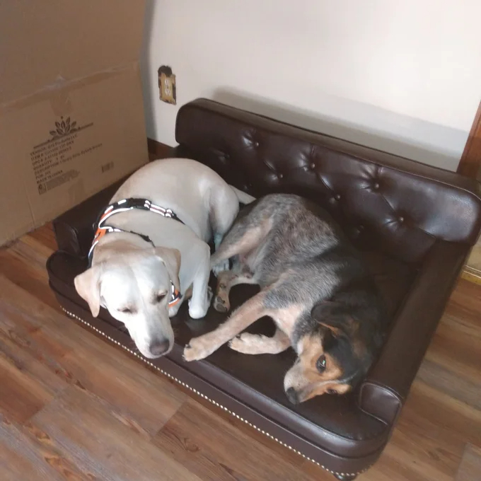Humphery Dog Sofa