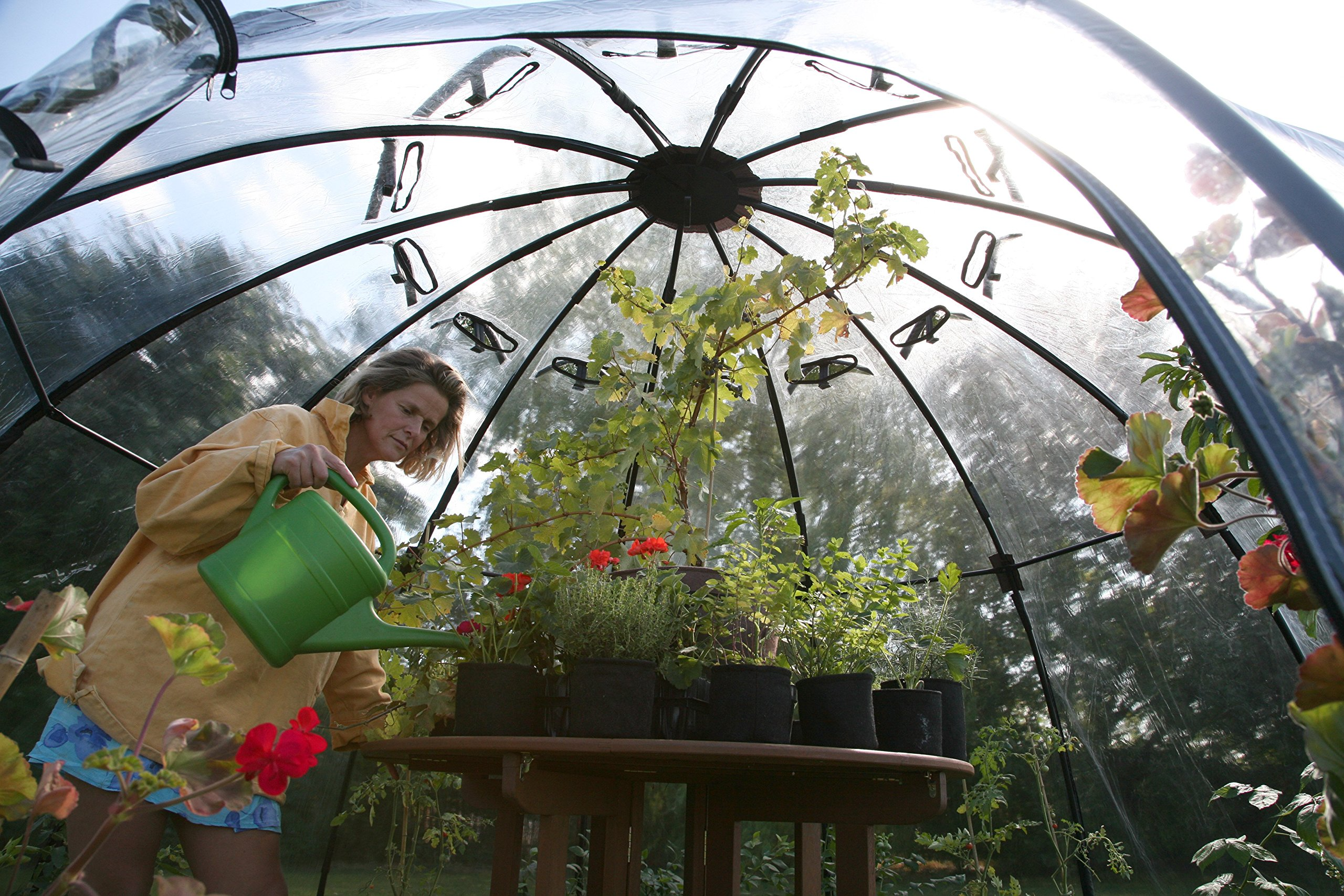 Haxnicks Garden Sunbubble Portable Greenhouse