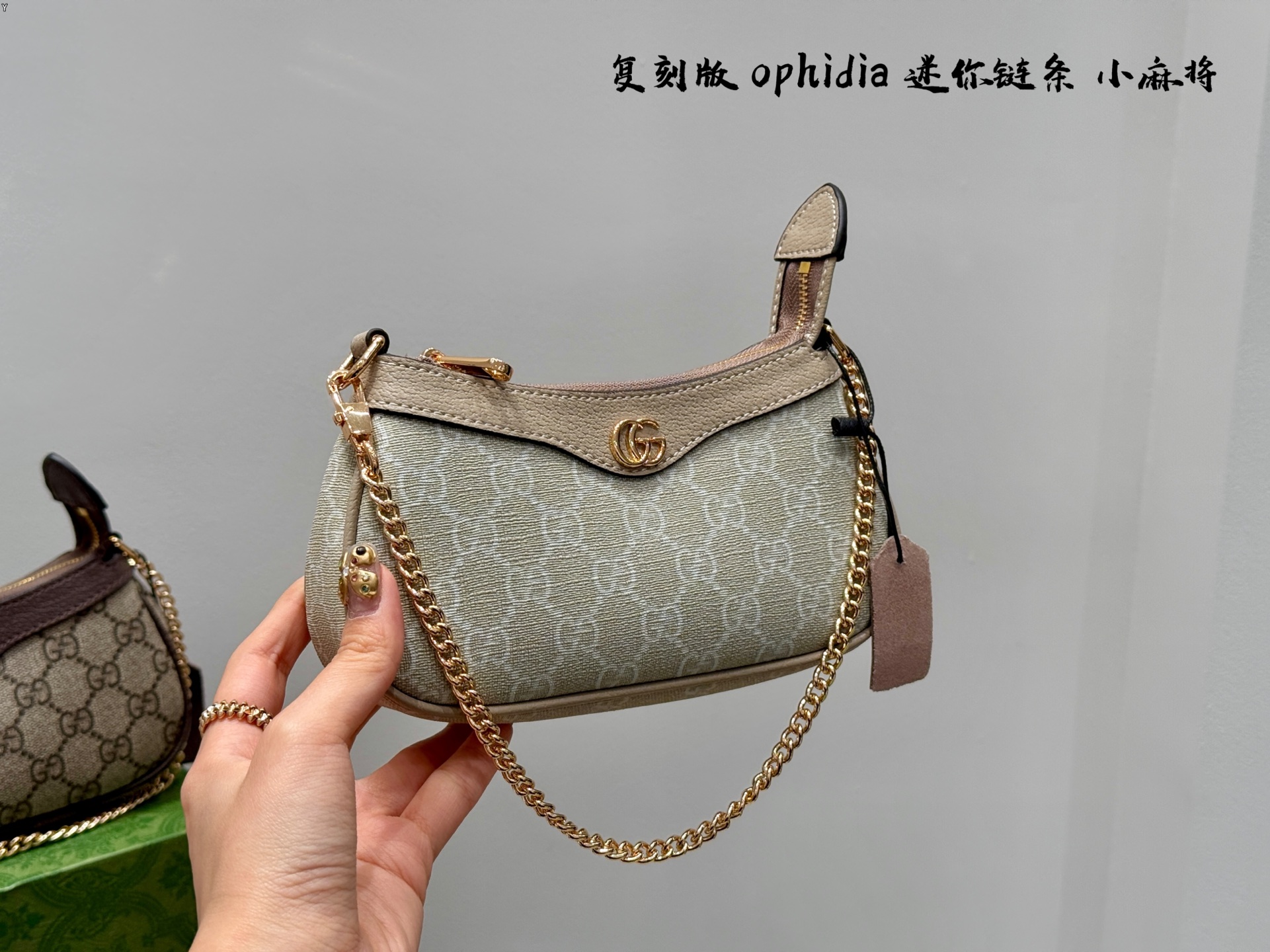 Gucci Ophidia chain bag
