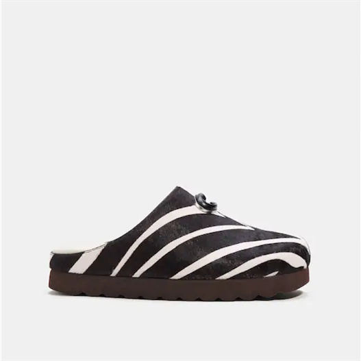 COAthtCH Fashion Shoes