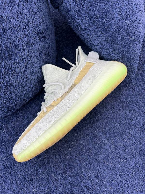 Adidas Yeezy Boost 350