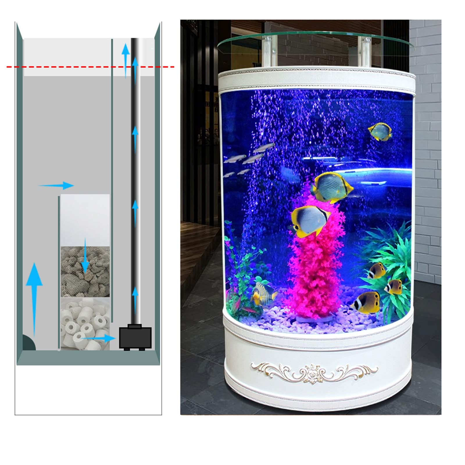 Semi-Circular Fish Tank Aquarium Living Room