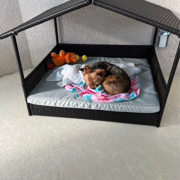 Lollis Wicker Cot Dog Bed