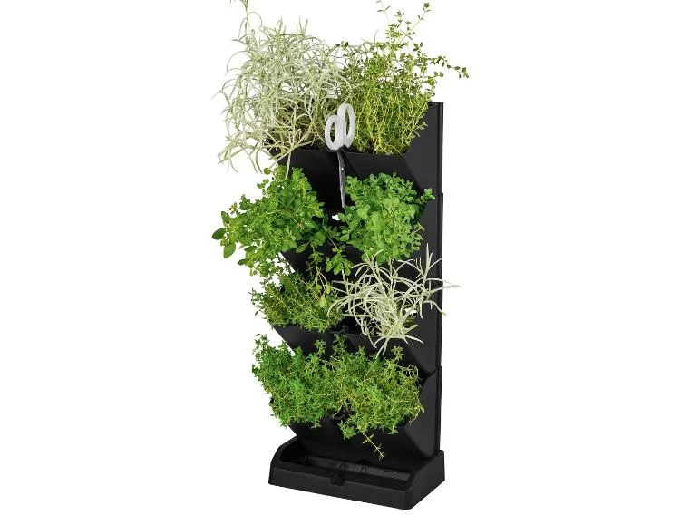 Jardin vertical pour plantes aromatiques