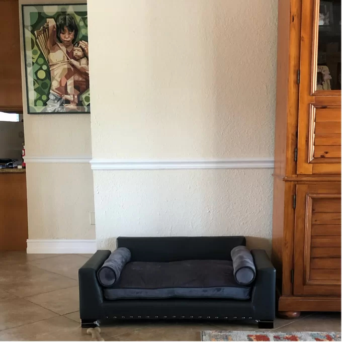 Oberle Dog Sofa